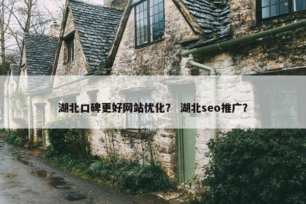 湖北口碑更好网站优化？ 湖北seo推广？
