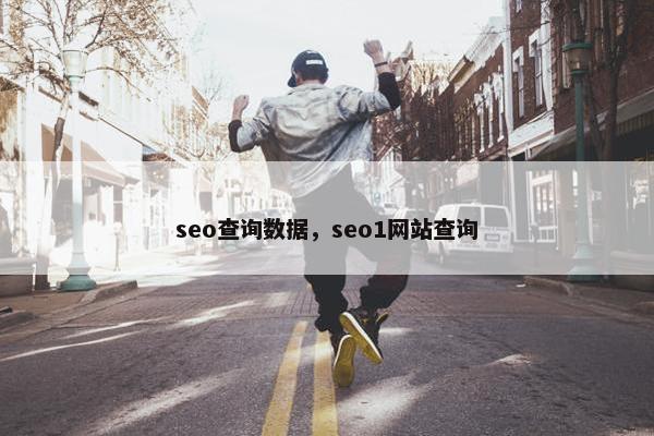 seo查询数据，seo1网站查询