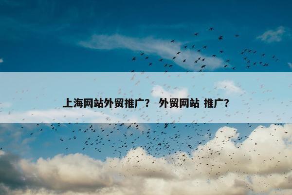 上海网站外贸推广？ 外贸网站 推广？