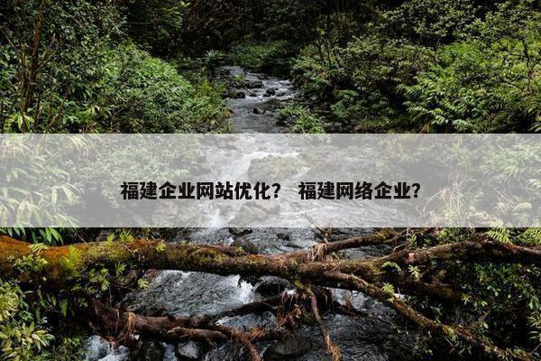 福建企业网站优化？ 福建网络企业？