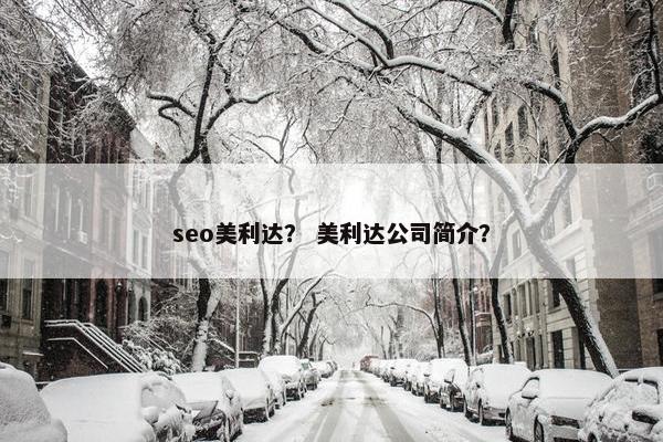 seo美利达？ 美利达公司简介？