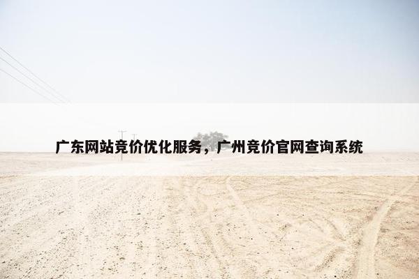 广东网站竞价优化服务，广州竞价官网查询系统