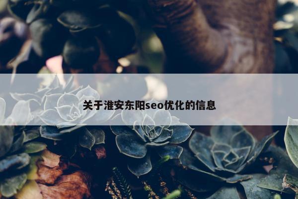关于淮安东阳seo优化的信息