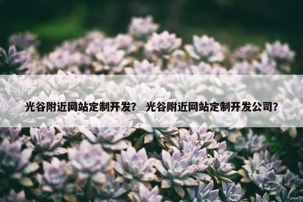 光谷附近网站定制开发？ 光谷附近网站定制开发公司？
