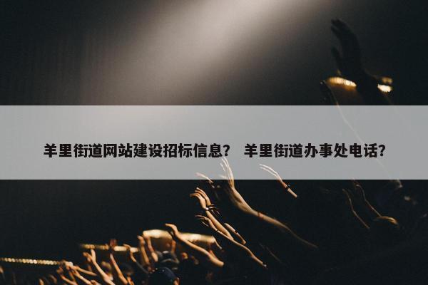 羊里街道网站建设招标信息？ 羊里街道办事处电话？