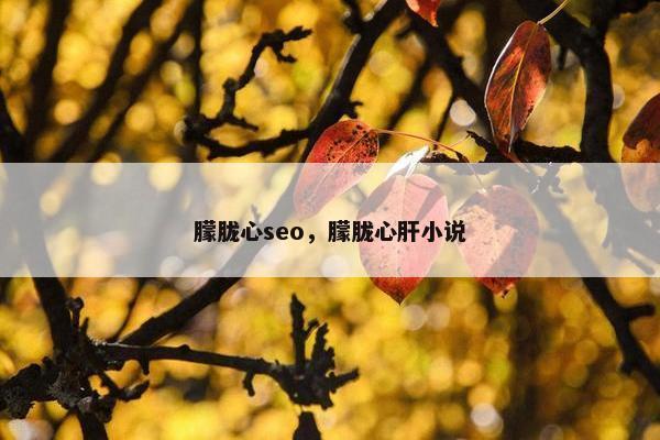 朦胧心seo，朦胧心肝小说