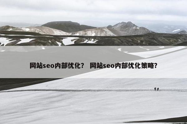 网站seo内部优化？ 网站seo内部优化策略？