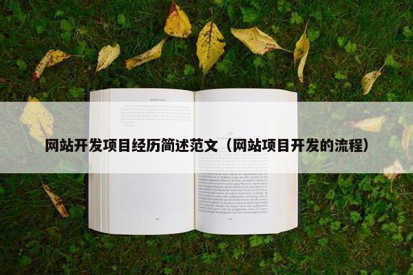网站开发项目经历简述范文（网站项目开发的流程）
