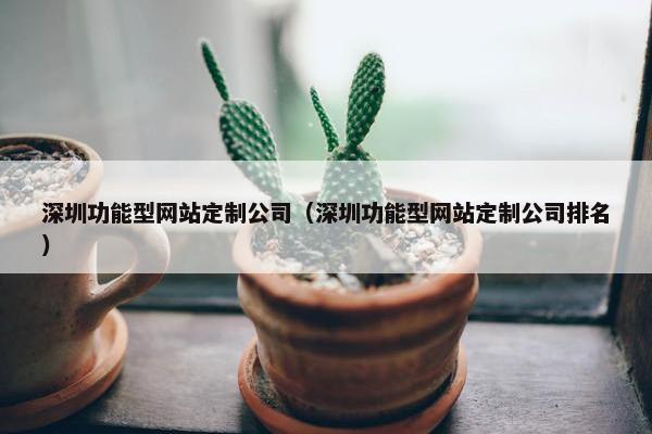 深圳功能型网站定制公司（深圳功能型网站定制公司排名）
