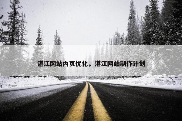 湛江网站内页优化，湛江网站制作计划