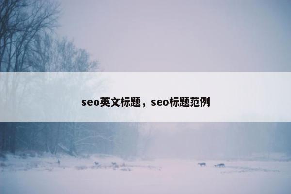 seo英文标题，seo标题范例