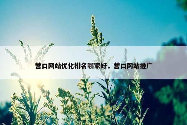 营口网站优化排名哪家好，营口网站推广