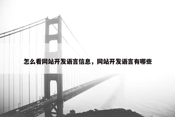 怎么看网站开发语言信息，网站开发语言有哪些