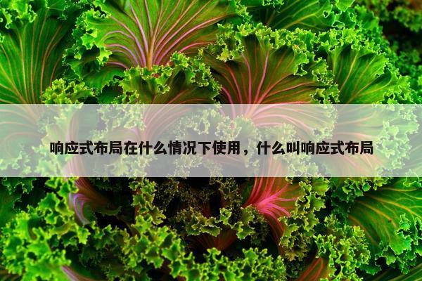响应式布局在什么情况下使用，什么叫响应式布局