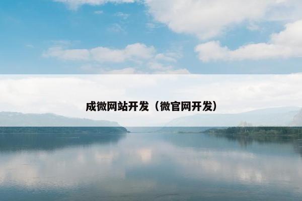 成微网站开发（微官网开发）