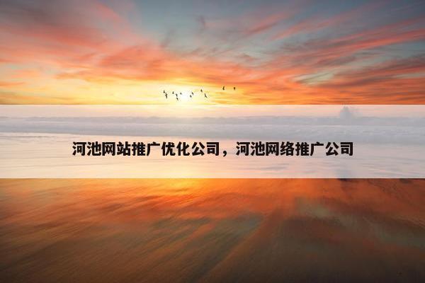 河池网站推广优化公司，河池网络推广公司