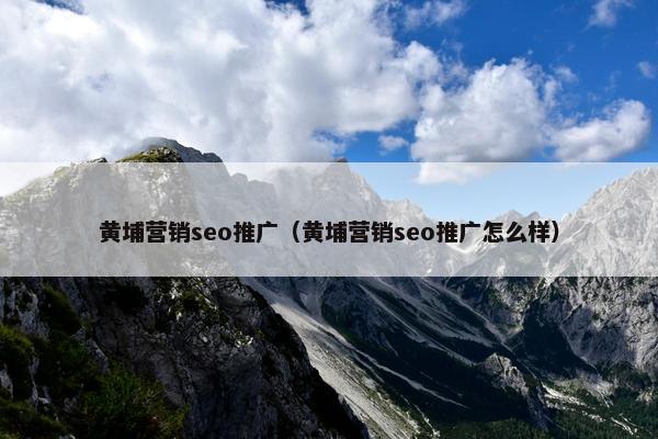 黄埔营销seo推广（黄埔营销seo推广怎么样）