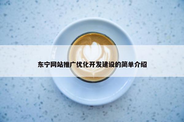 东宁网站推广优化开发建设的简单介绍