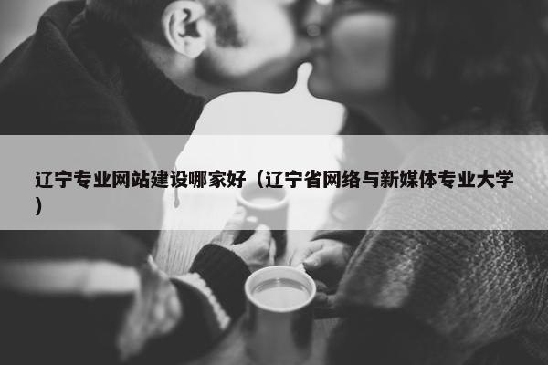 辽宁专业网站建设哪家好（辽宁省网络与新媒体专业大学）