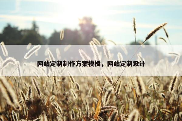 网站定制制作方案模板，网站定制设计