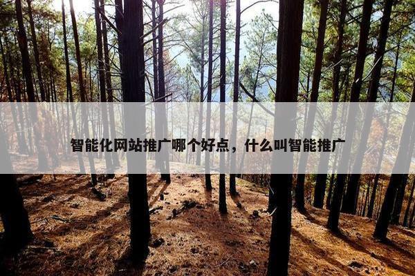 智能化网站推广哪个好点，什么叫智能推广