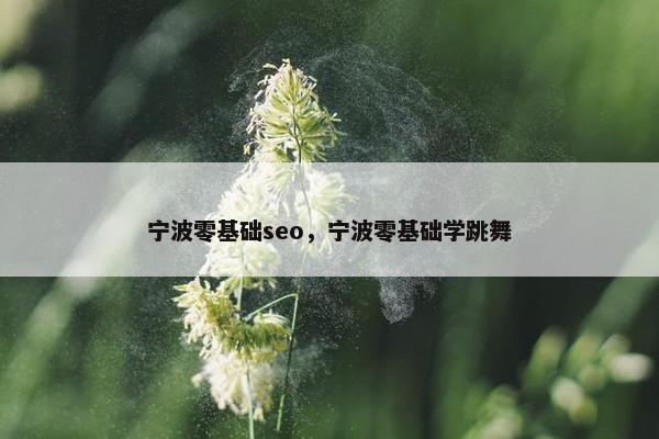 宁波零基础seo，宁波零基础学跳舞