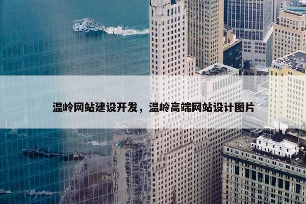 温岭网站建设开发，温岭高端网站设计图片