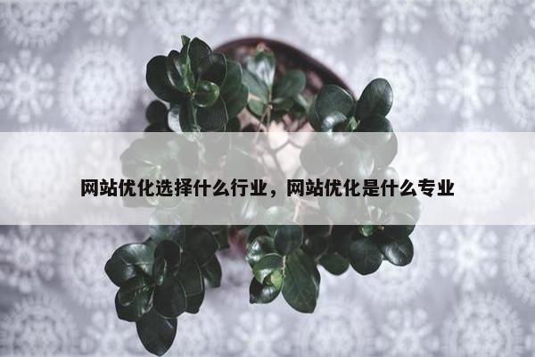 网站优化选择什么行业，网站优化是什么专业