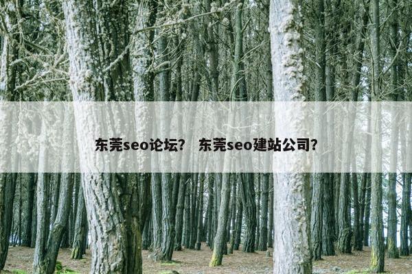 东莞seo论坛？ 东莞seo建站公司？