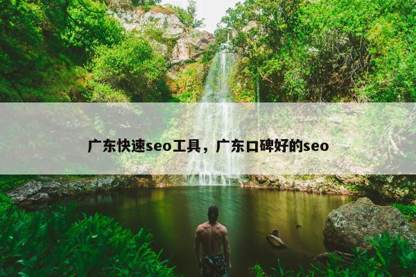广东快速seo工具，广东口碑好的seo