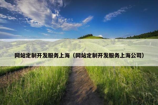 网站定制开发服务上海（网站定制开发服务上海公司）