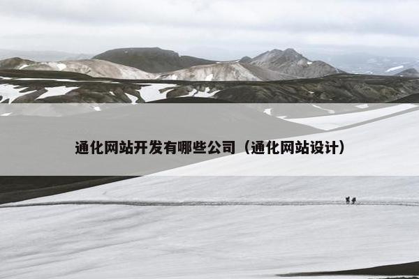 通化网站开发有哪些公司（通化网站设计）