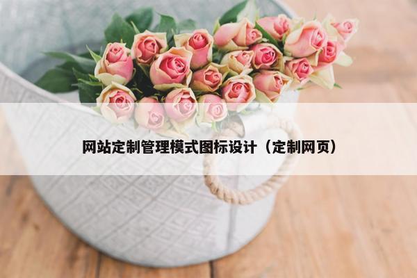 网站定制管理模式图标设计（定制网页）