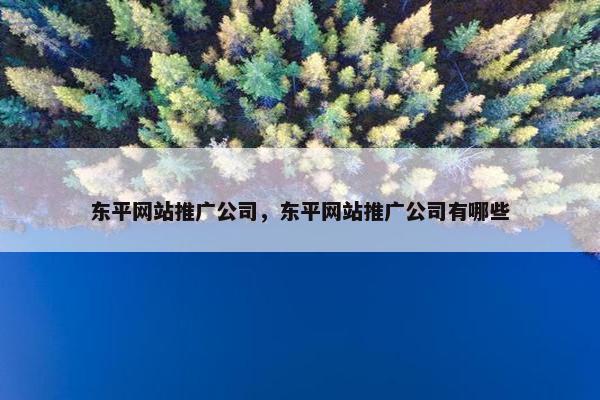 东平网站推广公司，东平网站推广公司有哪些