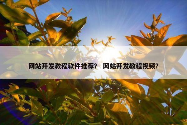 网站开发教程软件推荐？ 网站开发教程视频？
