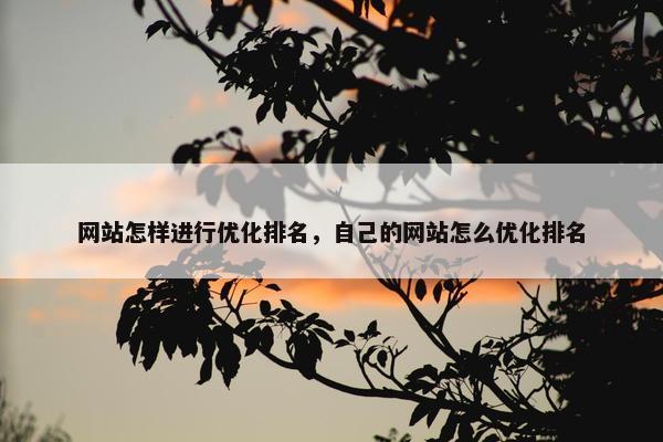 网站怎样进行优化排名，自己的网站怎么优化排名