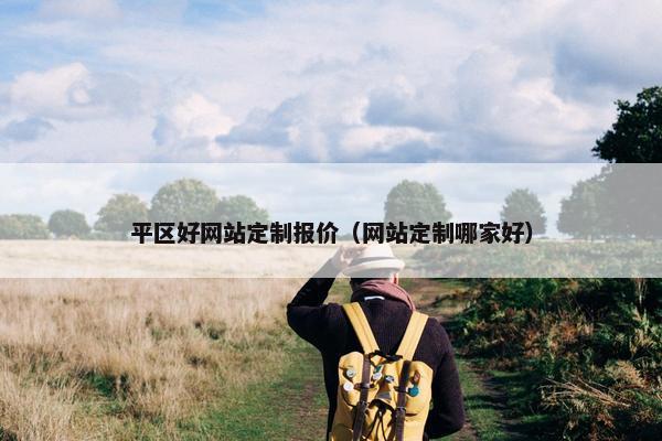 平区好网站定制报价（网站定制哪家好）