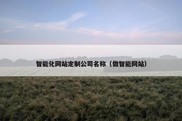 智能化网站定制公司名称（做智能网站）
