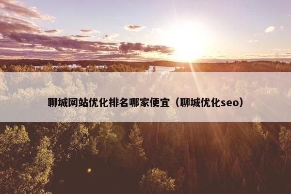 聊城网站优化排名哪家便宜（聊城优化seo）