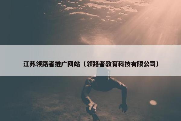 江苏领路者推广网站（领路者教育科技有限公司）