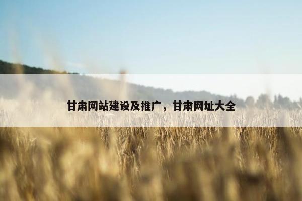 甘肃网站建设及推广，甘肃网址大全