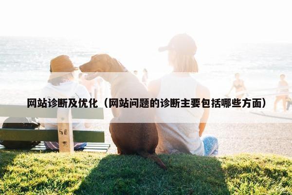 网站诊断及优化（网站问题的诊断主要包括哪些方面）