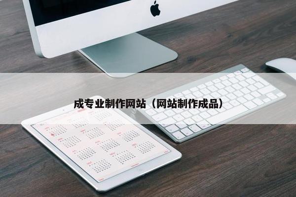 成专业制作网站（网站制作成品）