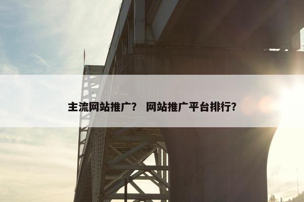 主流网站推广？ 网站推广平台排行？