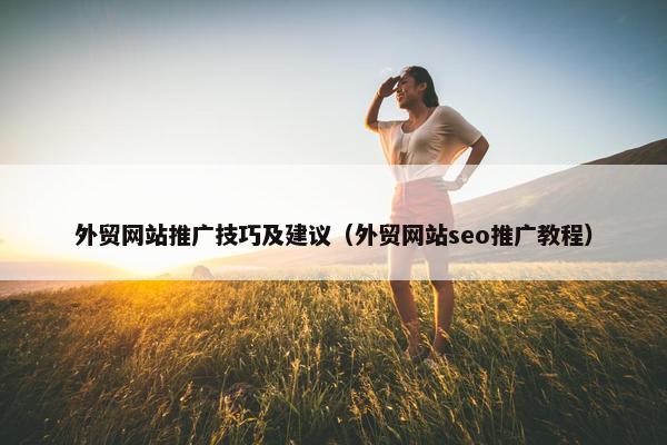 外贸网站推广技巧及建议（外贸网站seo推广教程）