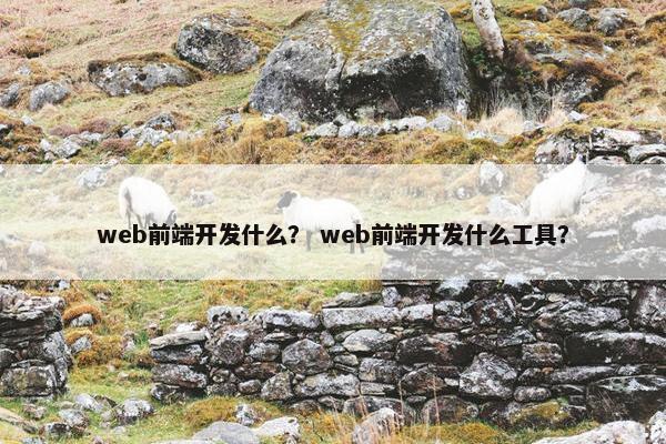 web前端开发什么？ web前端开发什么工具？