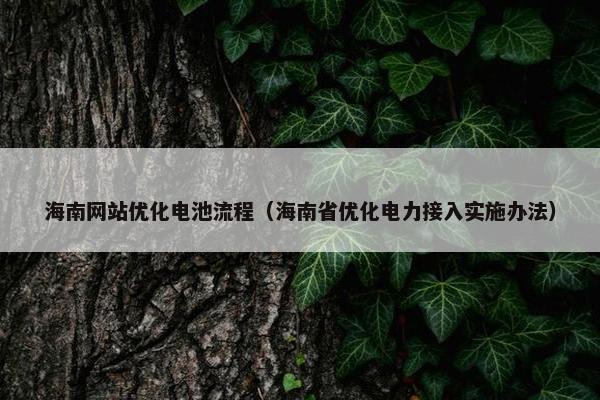 海南网站优化电池流程（海南省优化电力接入实施办法）