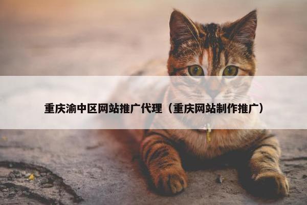 重庆渝中区网站推广代理（重庆网站制作推广）