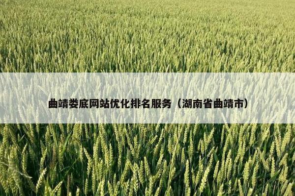 曲靖娄底网站优化排名服务（湖南省曲靖市）