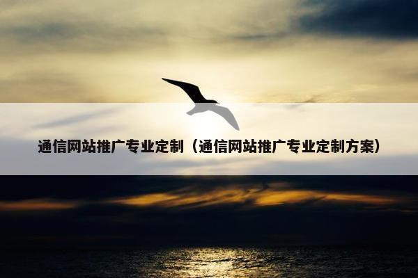 通信网站推广专业定制（通信网站推广专业定制方案）